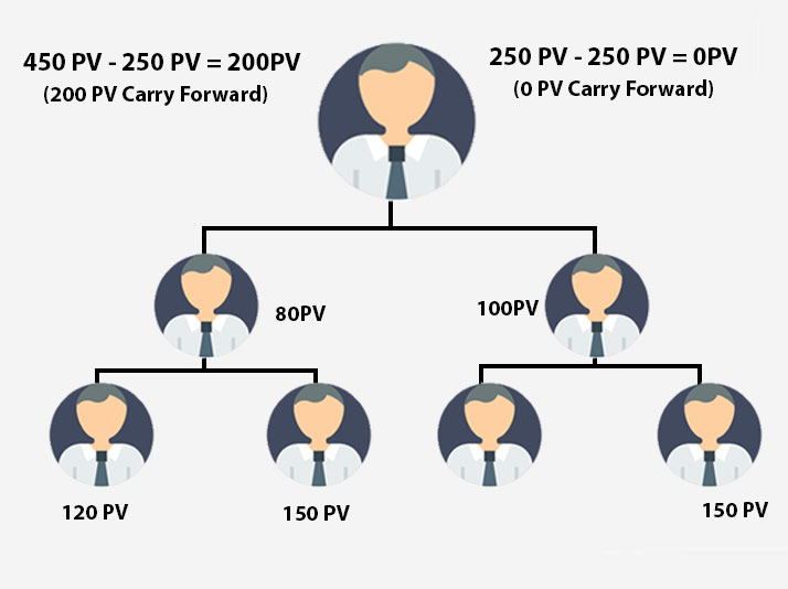 Binary Bonus in Binary Mlm software