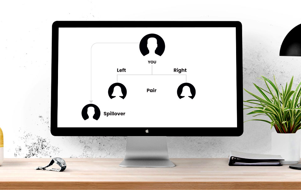 Binary MLM Software