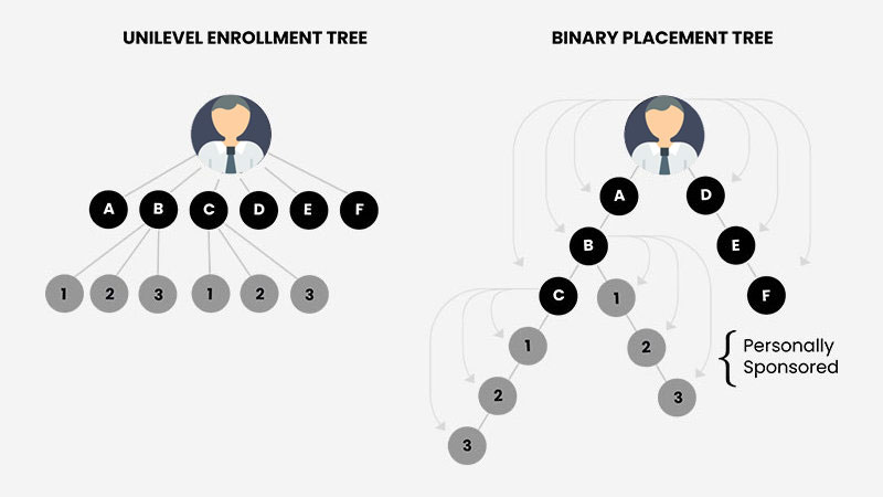 Matching Bonus in Binary MLM software